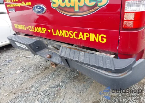 2005 Ford F-150 Xl/Stx/Xlt z USA, uszkodzony, nr VIN 1FTRF12255KE06233